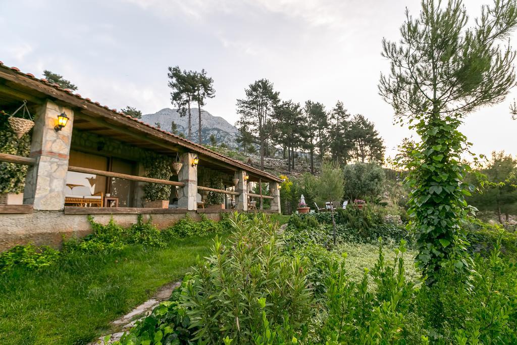 Olympos Mountain Lodge Бейджик Экстерьер фото