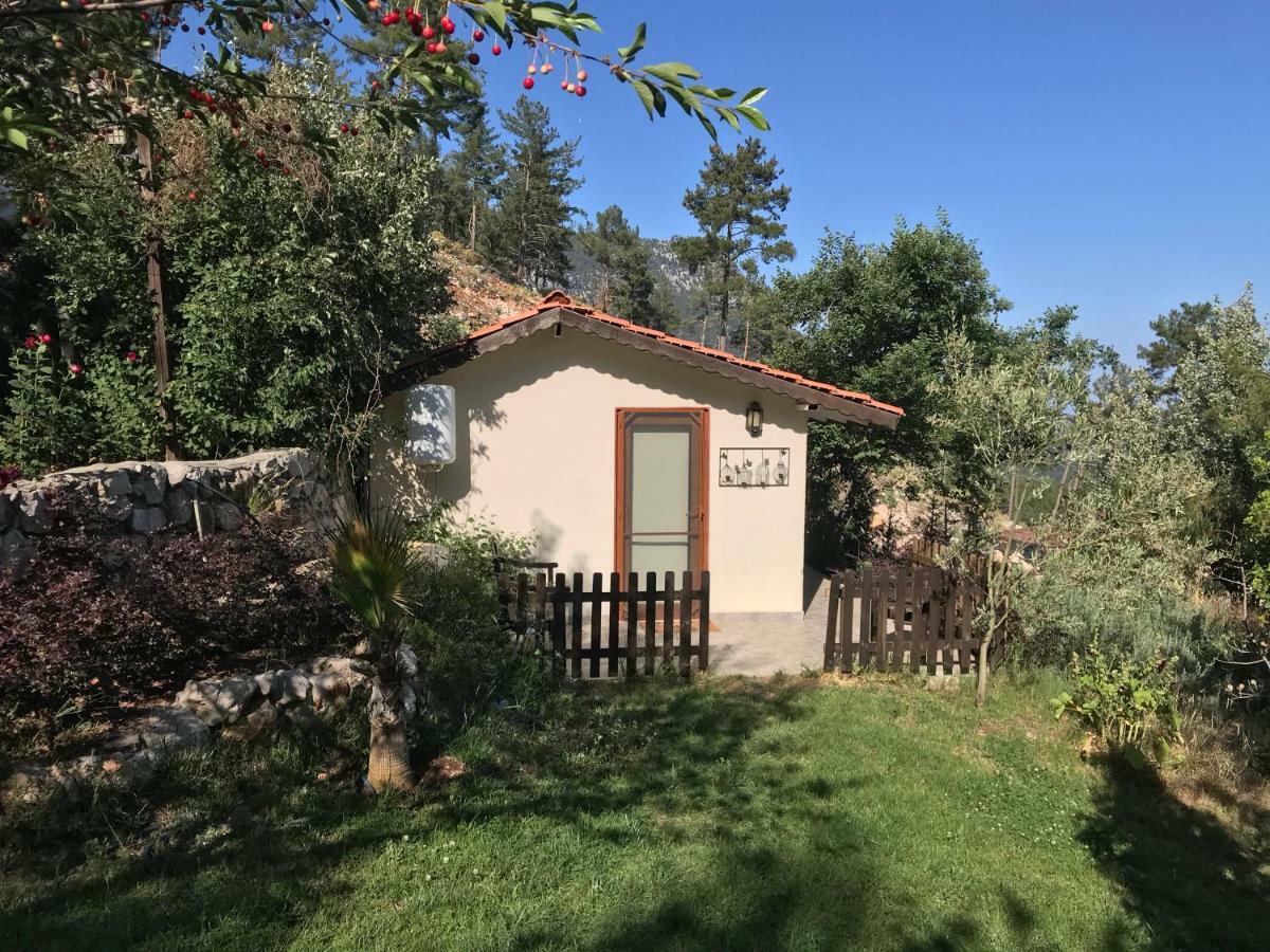 Olympos Mountain Lodge Бейджик Экстерьер фото